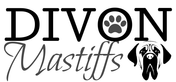 Divon Mastiffs 