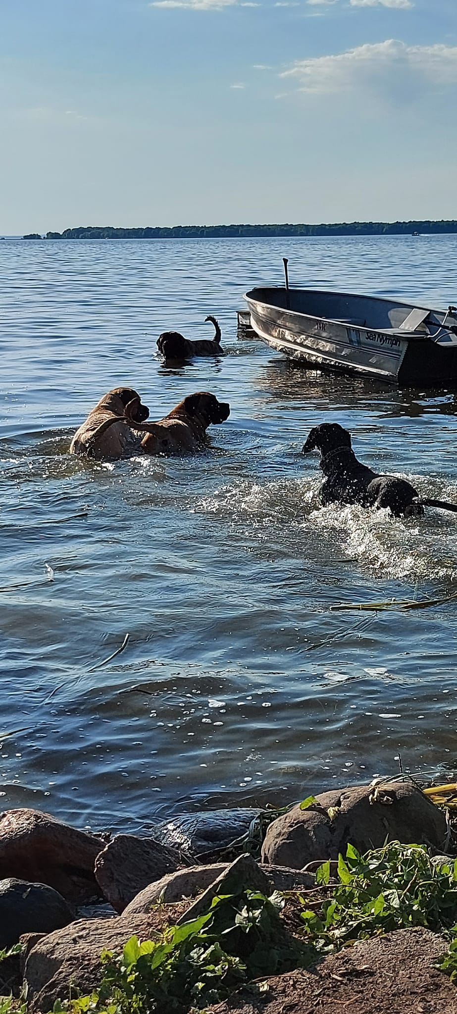 472925834_1104787144774146_14869696425877325_n