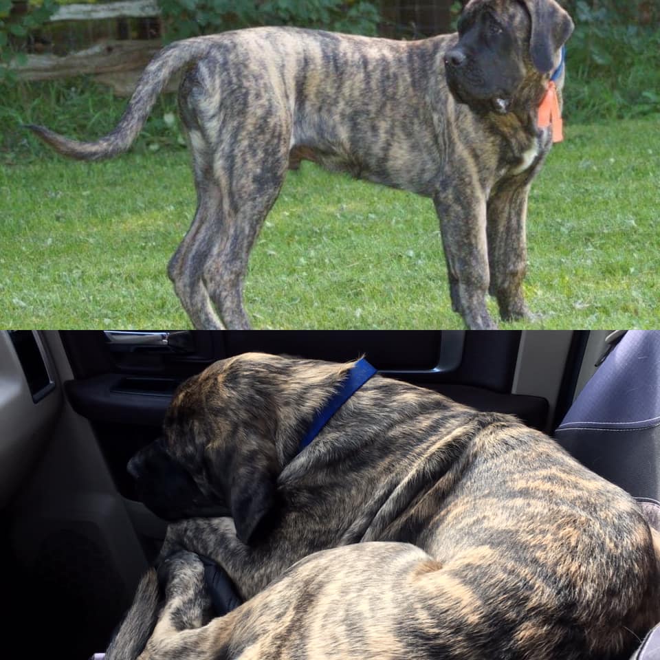 123051229_100666111852926_3429894006202487864_n