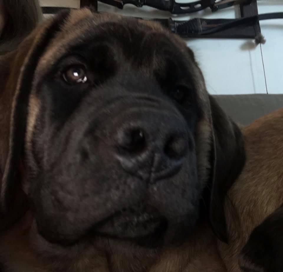 123075376_100666805186190_7679457137123123922_n