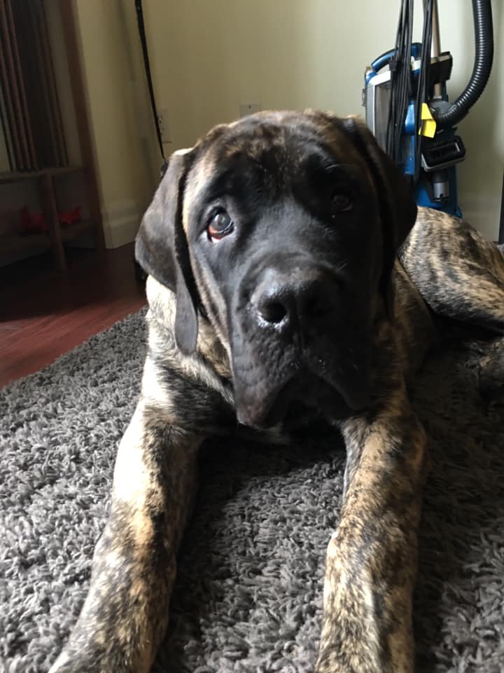 123077708_100666161852921_7999548806725106644_n