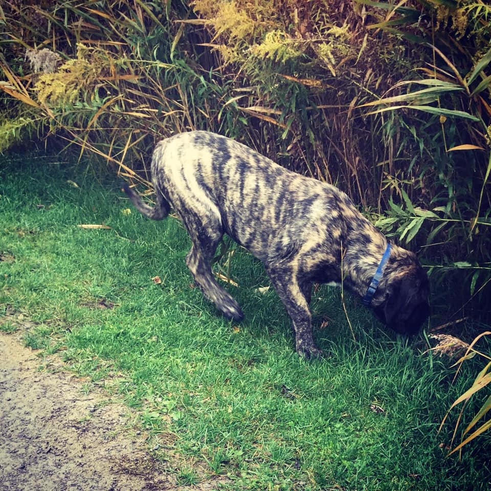 123137213_100657838520420_657086534345333035_n