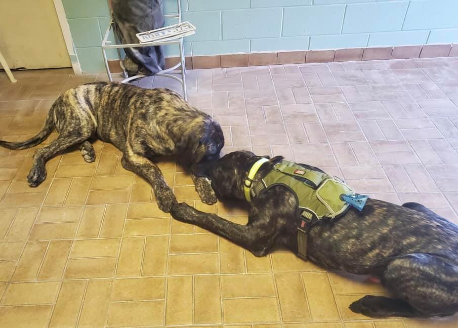 124131998_105809924671878_1402090666101003299_n