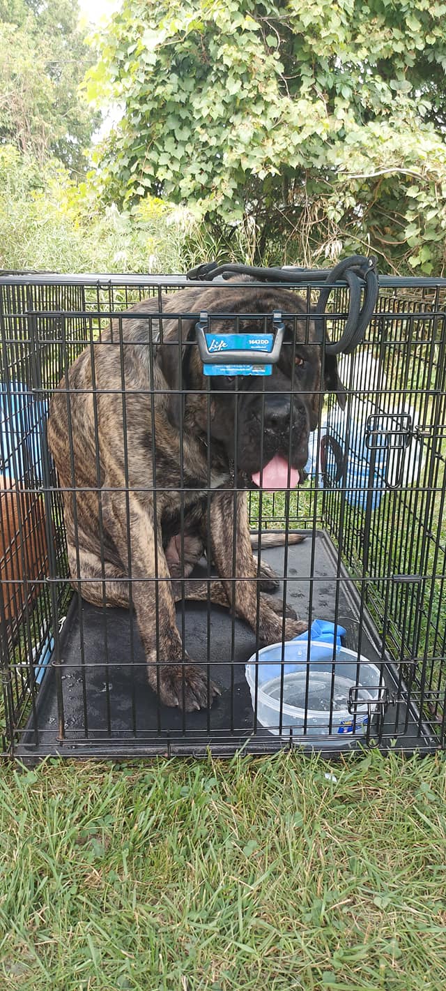 470226400_1087799423139585_7048025407015283688_n