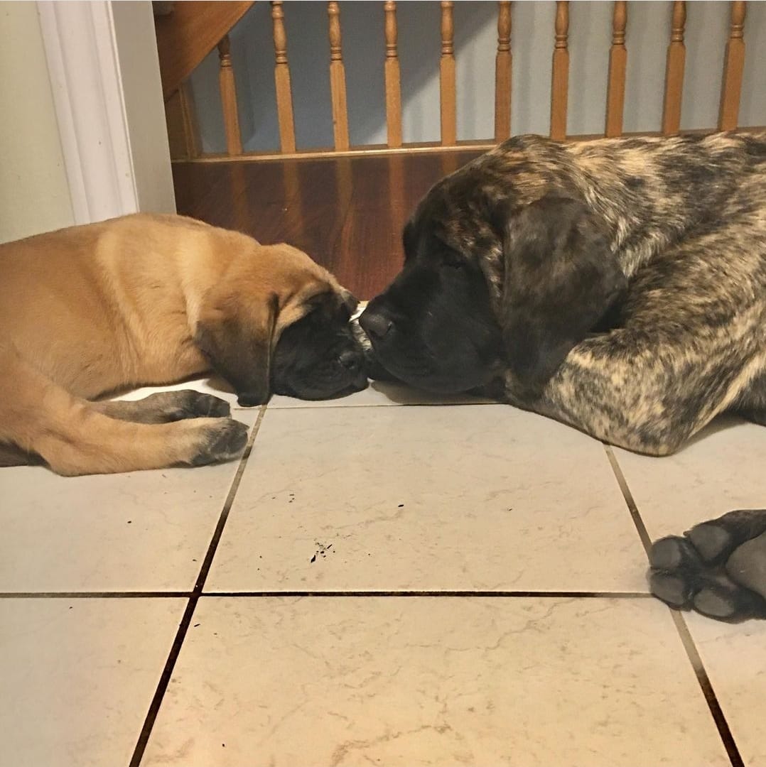 470589711_1092198866032974_7327295252752665917_n