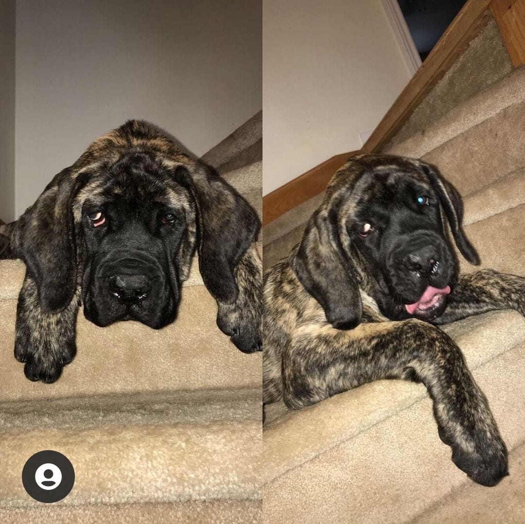 471146970_1092198976032963_3768905355206515240_n