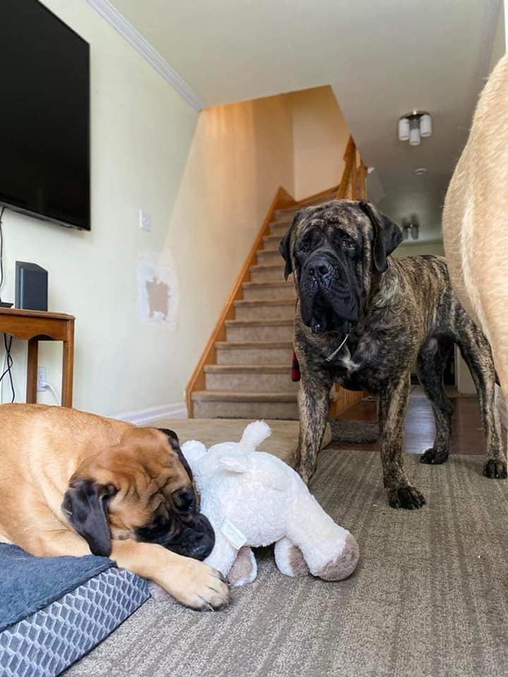 472309514_1102156851703842_572988933609227390_n