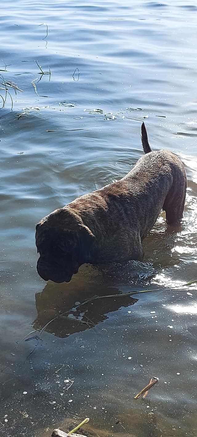 472631431_1104787041440823_666233739999472176_n