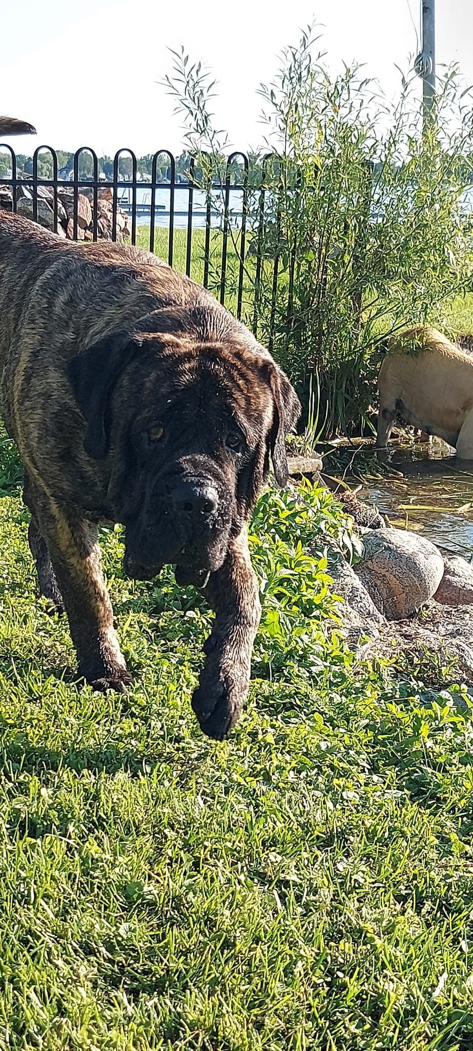 472748372_1104787171440810_3519788105966771892_n