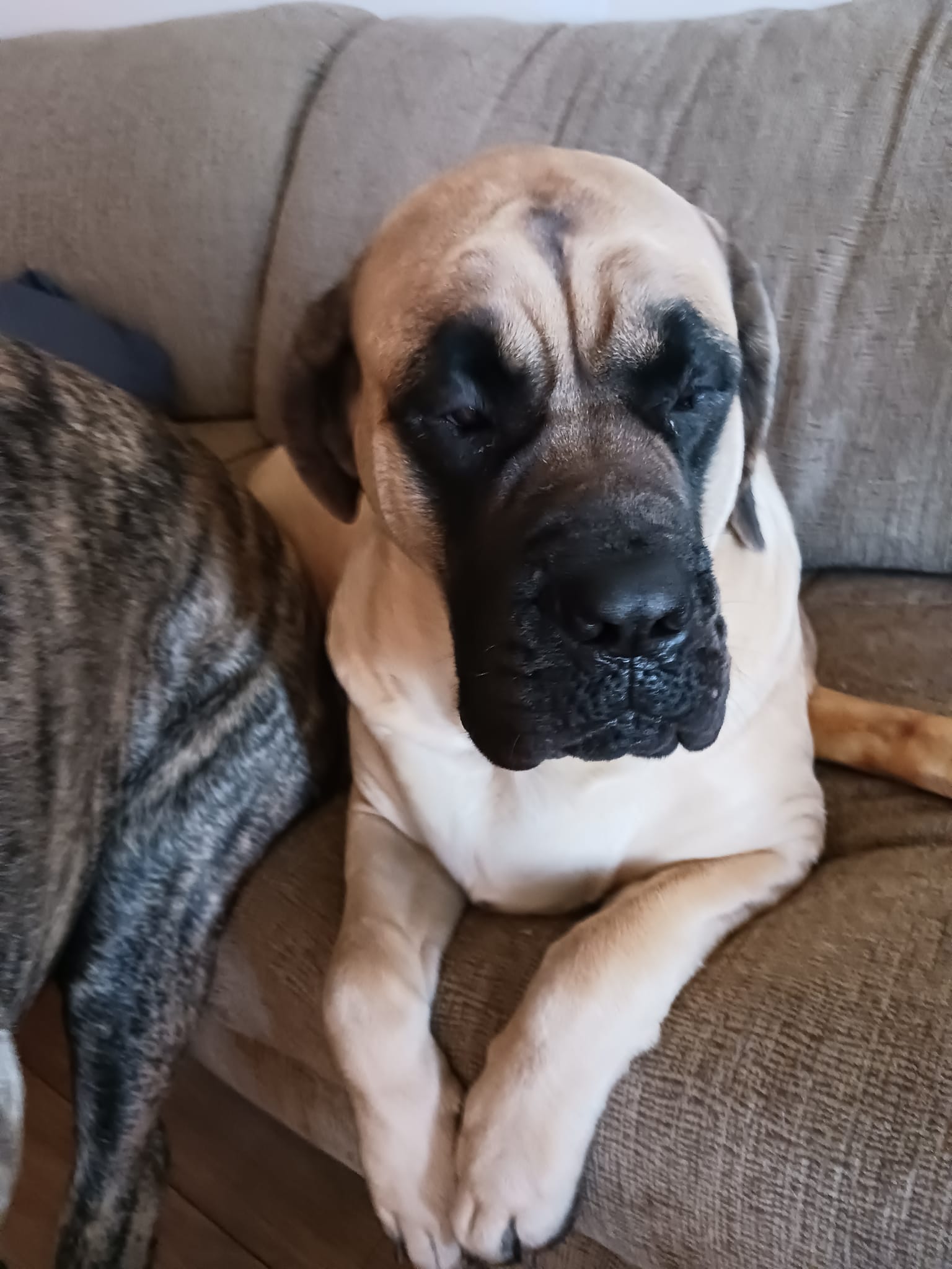 481786514_960509302866996_2549602647294811550_n