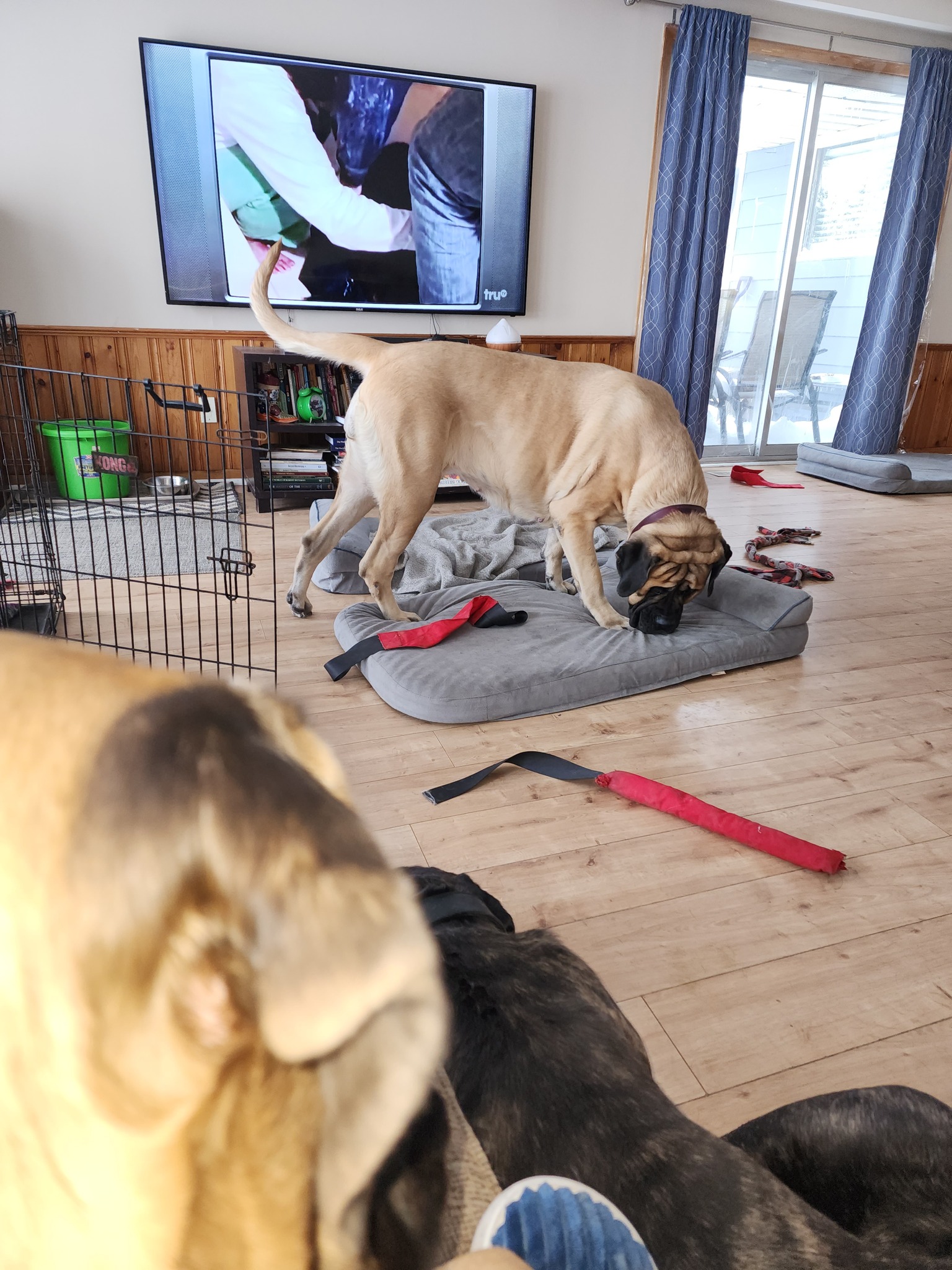 488520634_979484570969469_1960677091309618143_n