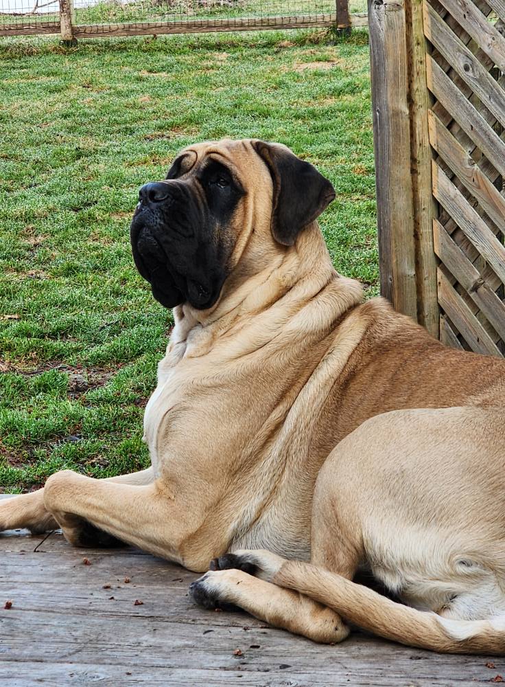 504376381_1025639743020618_3671956566224438202_n