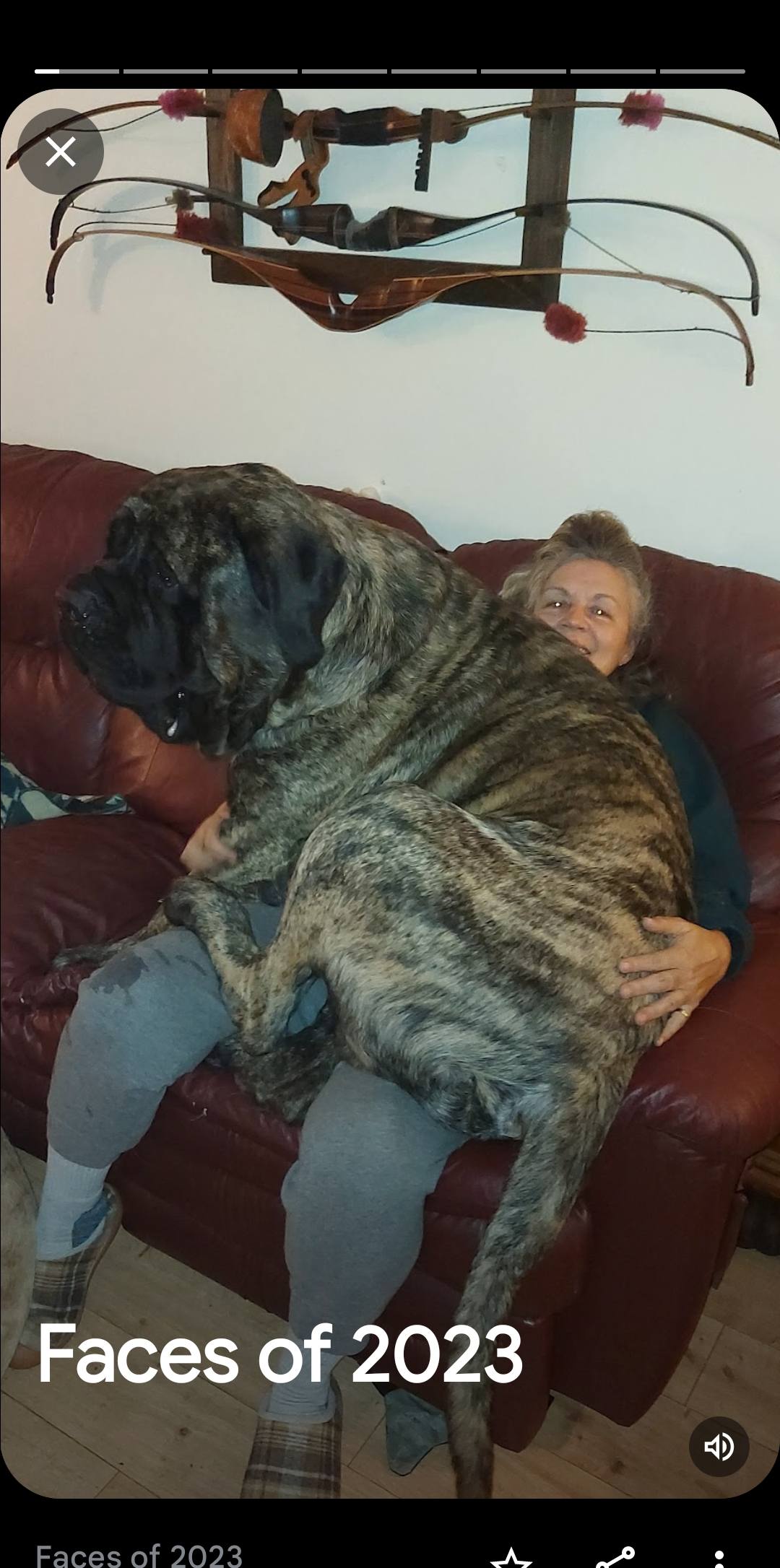 504457638_1025641353020457_5053015975556658751_n