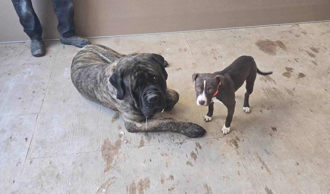 505026319_1025641159687143_2669340495514622029_n