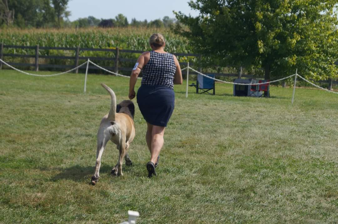 FB_IMG_1661426670695