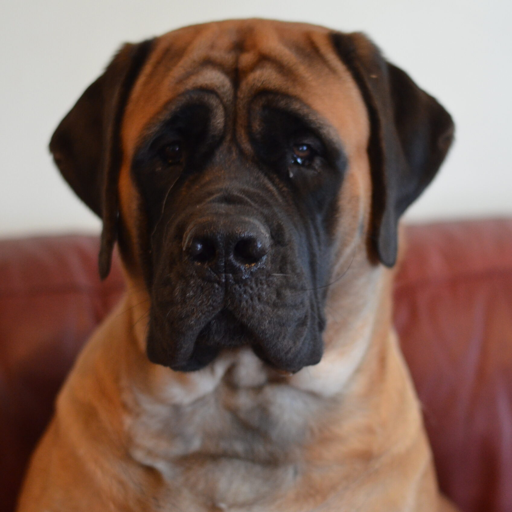 DSC_0804-scaled-circle